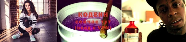 винт Алзамай