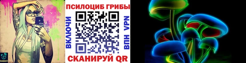 kraken рабочий сайт  Енисейск  Псилоцибиновые грибы Cubensis 